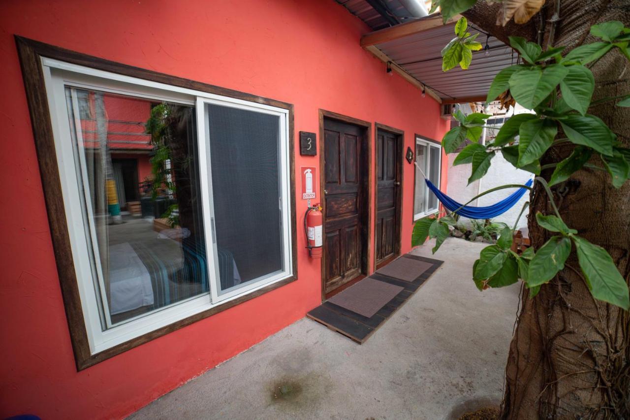 Galapagos Morning Glory Hostel ปูแอร์โตอาโยรา ภายนอก รูปภาพ
