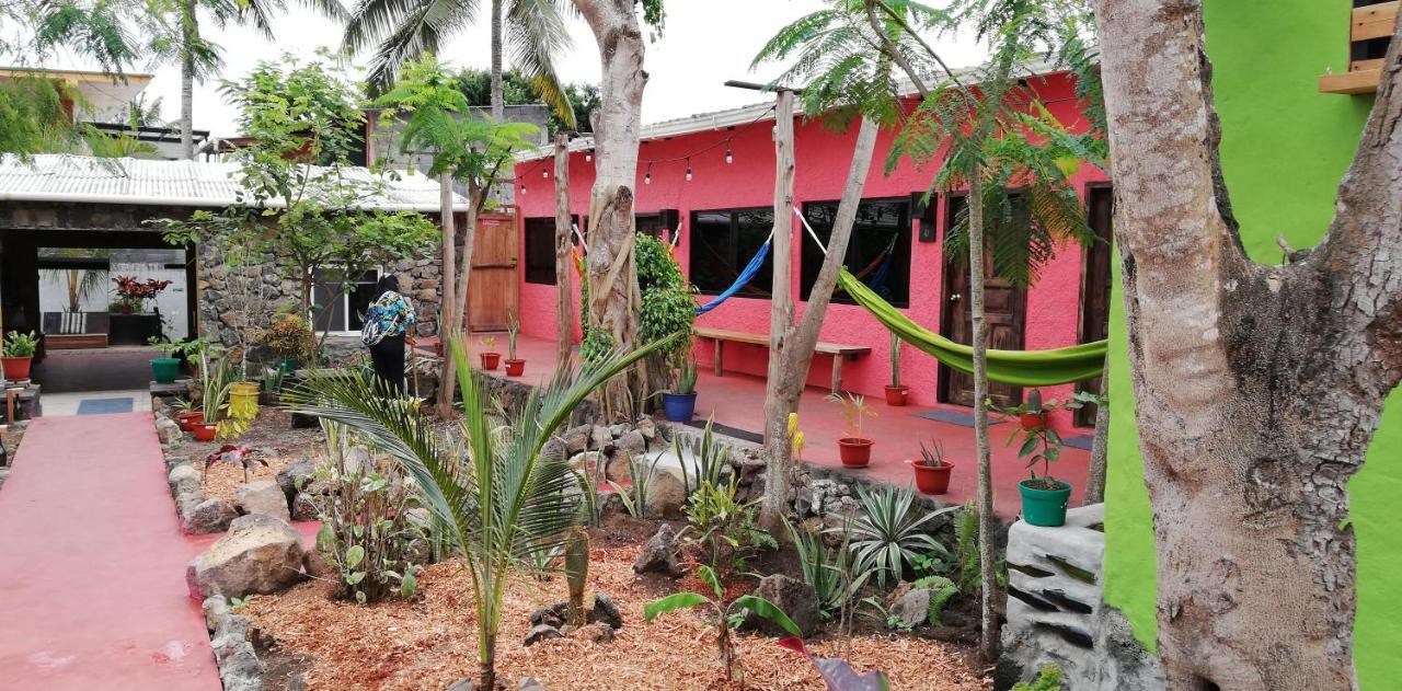Galapagos Morning Glory Hostel ปูแอร์โตอาโยรา ภายนอก รูปภาพ